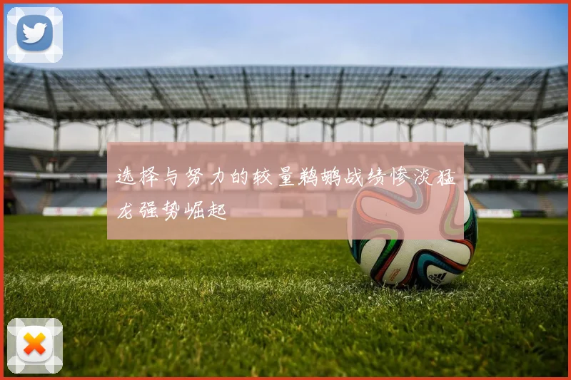 选择与努力的较量鹈鹕战绩惨淡猛龙强势崛起