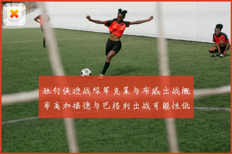 独行侠迎战绿军克莱与布威出战概率高加福德与巴格利出战可能性低
