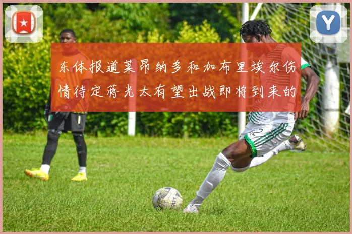 东体报道莱昂纳多和加布里埃尔伤情待定蒋光太有望出战即将到来的比赛